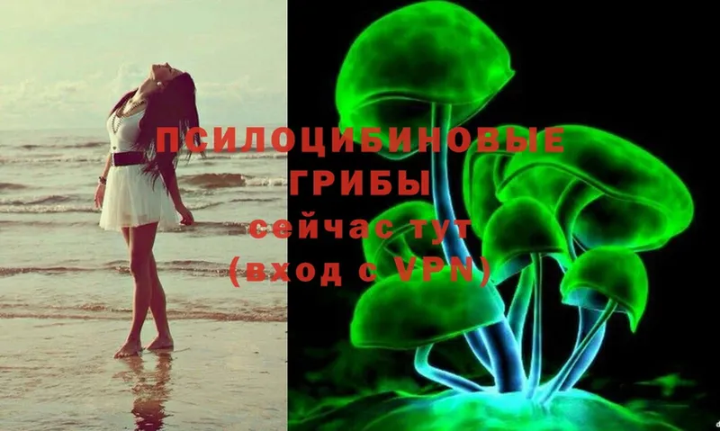 закладки  Бородино  Галлюциногенные грибы Magic Shrooms 